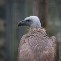 AdWoKassel 00061
