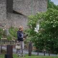 AdWoKassel 00156