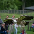 AdWoKassel 00333