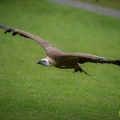 AdWoKassel 00358
