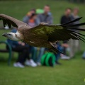 AdWoKassel 00361